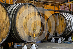 Making Asturian cider made fromÃÂ fermented apples in barrels for several months should be poured from great photo